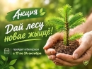 &laquo;Дай лесу новае жыццё!&raquo;