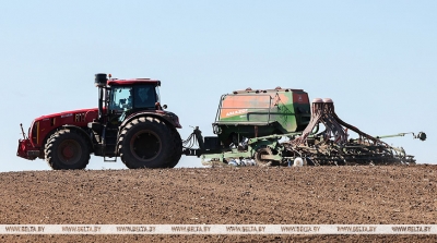 В Беларуси засеяна треть площадей яровых культур