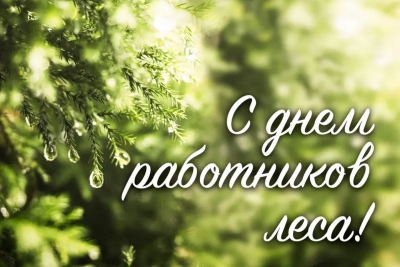 С&nbsp;Днем работников леса! Поздравляет руководство района