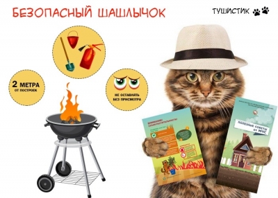 Рецепты безопасного шашлыка