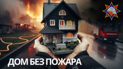В&nbsp;Глусском районе пройдет специальное профилактическое мероприятие &laquo;Дом без пожара&raquo;