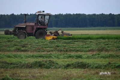 Жара на полях: как глусские аграрии трудятся на заготовке кормов