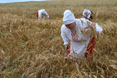 В&nbsp;Глусском районе прошли &laquo;Зажинки&raquo;. Фоторепортаж
