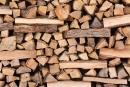 В Могилевской области растет спрос на дрова