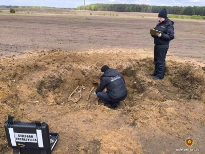 Судмедэксперты установили: обнаруженным в Глусском районе останкам более 70 лет