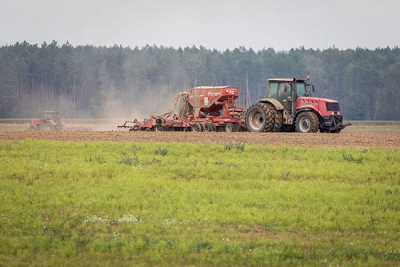 В Могилевской области семена озимых легли в почву на 32% площадей