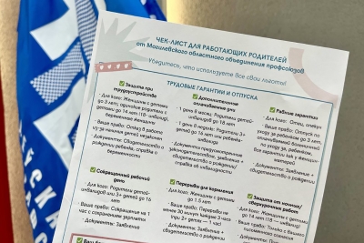 В Могилеве профсоюзы разработали памятку для работающих родителей с информацией о трудовых гарантиях