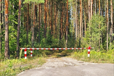 С 10 июля в Глусском районе введено ограничение на посещение лесов