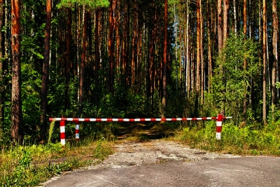 В Глусском районе введено ограничение на посещение лесов