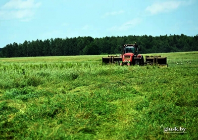В сельхозорганизациях первый укос трав проведен на 90 процентах площадей